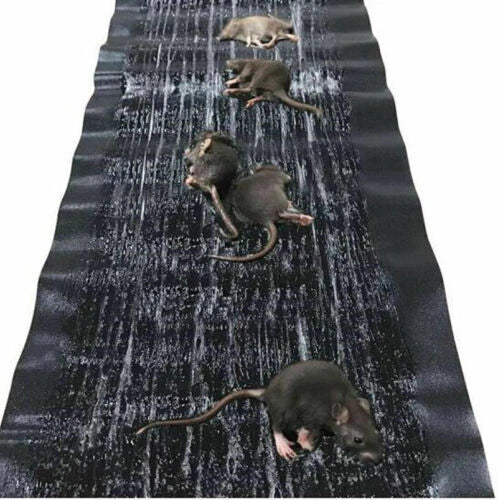 2 ACHETÉ 1 OFFERT Tapis à Colle Ultra-Puissant contre Rongeurs, Serpents & Insectes(Nuisiblse)