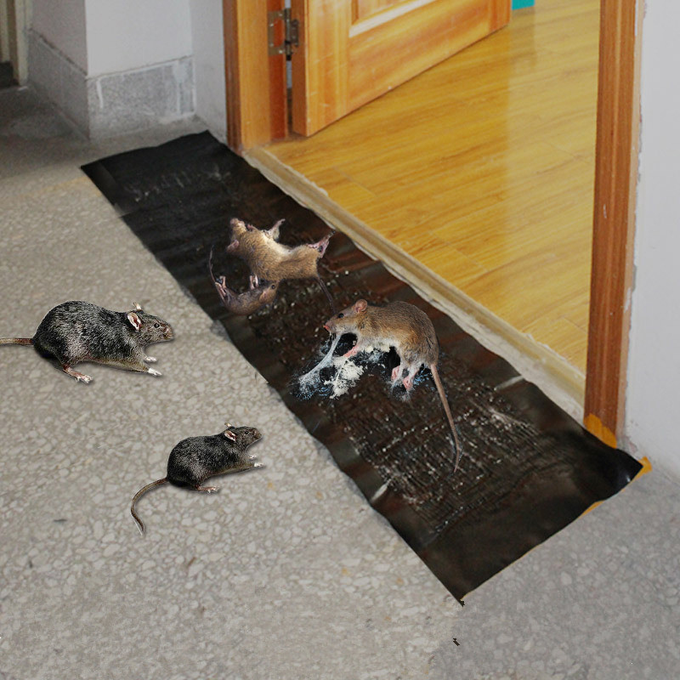 2 ACHETÉ 1 OFFERT Tapis à Colle Ultra-Puissant contre Rongeurs, Serpents & Insectes(Nuisiblse)